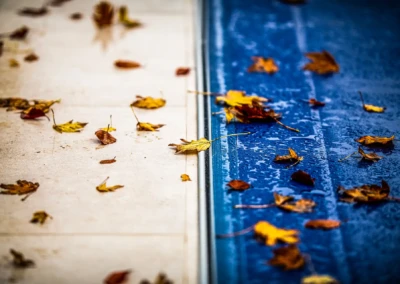 Des feuilles mortes jaunes et brunes sont dispersées sur une surface beige et une couverture de piscine bleue mouillée.
