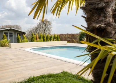 Une piscine entourée de dalles en bois, avec un palmier au premier plan et un cabanon gris en arrière-plan.