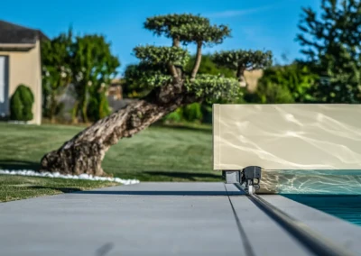 Un arbre incliné se dresse à côté d'une piscine protégée par une couverture beige, avec un jardin verdoyant en arrière-plan.
